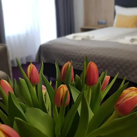 Porto Aparthotel Gizycko 4*
